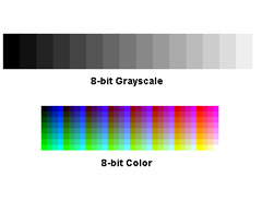 8 bit color and grayscale