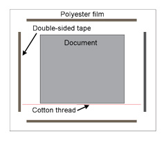 The paper document on the polyester film