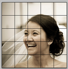 A grid is placed on the original photo as well as the blank painting surface