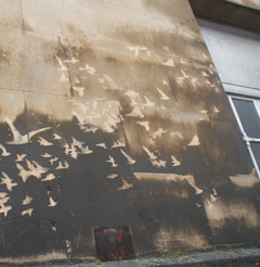 Moose reverse graffiti birds, Bristol, England