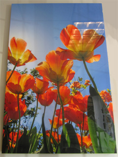 Adding resin to your canvas print enhances the color and gives it a beautiful shine