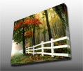 A beautiful autumn or Fall scene, with a white wooden fence along the trees