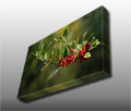 Christmas holly against an arborial background