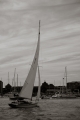 Sailing, Newport Harbour, Rhode Island