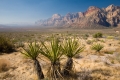 Red Rock State Park, Nevada
