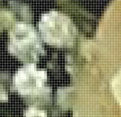 Close up image of pixels in a digital photograph