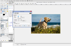 Gimp Interface