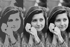 One image in various bit depths: 1, 2, and 8