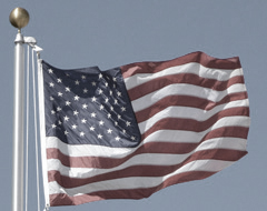 American flag printable fabric