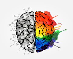 Creative Brain Creative Brain