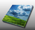 A fresh, grassy view of our planet A fresh, grassy view of our planet