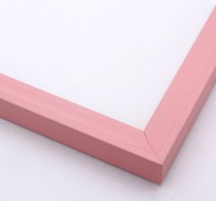Painted Finish