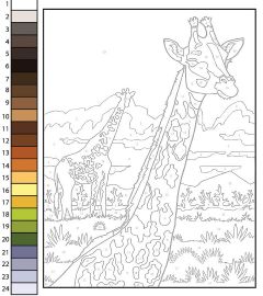 Paint By Numbers Giraffe Paint By Numbers Giraffe