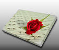 The rose is the international flower of love The rose is the international flower of love