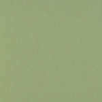 Thistle - Museum Core