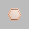Hexagon Metallic Bronze Mini Floaters / 4 per pack