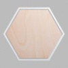 Hexagon Metallic Silver Mini Floaters