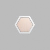 Hexagon Metallic Silver Mini Floaters / 4 per pack