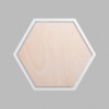 Hexagon Metallic Silver Mini Floaters