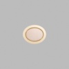 Ellipse Metallic Gold Mini Floaters / 4 per pack