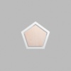 Pentagon Metallic Silver Mini Floaters / 4 per pack