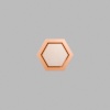 Hexagon Metallic Bronze Mini Floaters / 4 per pack