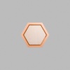 Hexagon Metallic Bronze Mini Floaters / 4 per pack
