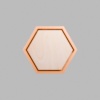 Hexagon Metallic Bronze Mini Floaters / 2 per pack