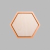 Hexagon Metallic Bronze Mini Floaters / 2 per pack