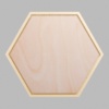 Hexagon Metallic Gold Mini Floaters