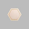 Hexagon Metallic Gold Mini Floaters / 4 per pack
