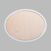 Ellipse Metallic Silver Mini Floaters