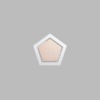Pentagon Metallic Silver Mini Floaters / 4 per pack