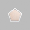 Pentagon Metallic Silver Mini Floaters / 4 per pack