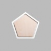 Pentagon Matte White Mini Floaters / 2 per pack
