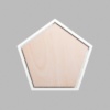 Pentagon Matte White Mini Floaters / 2 per pack