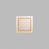 Rectangle Metallic Gold Mini Floaters / 4 per pack