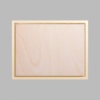 Rectangle Metallic Gold Mini Floaters / 2 per pack
