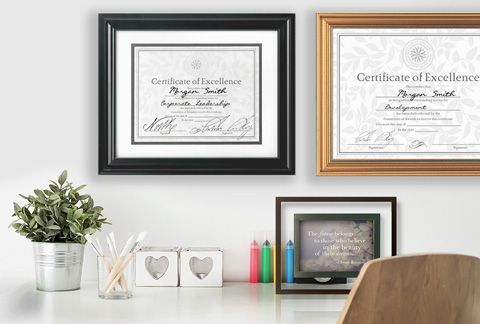  Framed Diploma 